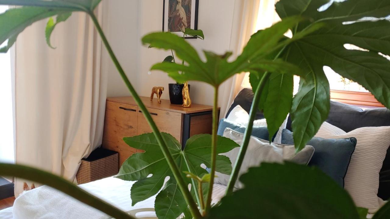 Apartament Dolce Vita Koscielisko Resort Εξωτερικό φωτογραφία